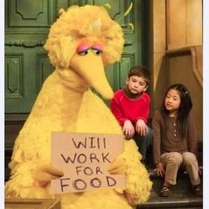 Meet your Posher, Big